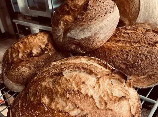 Appartamento Sunset Capodistria